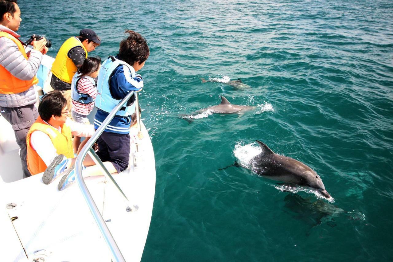 Seacruise House Navio Apart otel Kami Amakusa Dış mekan fotoğraf